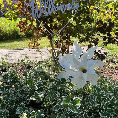 Wiesenkoje - Insel Ruegen - Ostsee Hébergement de vacances Sagard